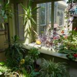 Modern Indoor Fairy Garden Designs: Creative Concepts for Every Space