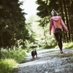 How Pets Support a Healthy Lifestyle: Mental, Physical, and Emotional Benefits